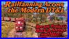 End Of Summer Railfanning On The Modern Dt U0026i