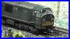 N Gauge Dapol Class 22 With DCC Sound U0026 Milk Tankers