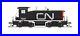 N-SCALE Broadway 7489 EMD NW2, CN 7957, Noodle Scheme, Paragon4 Sound/DC/DCC